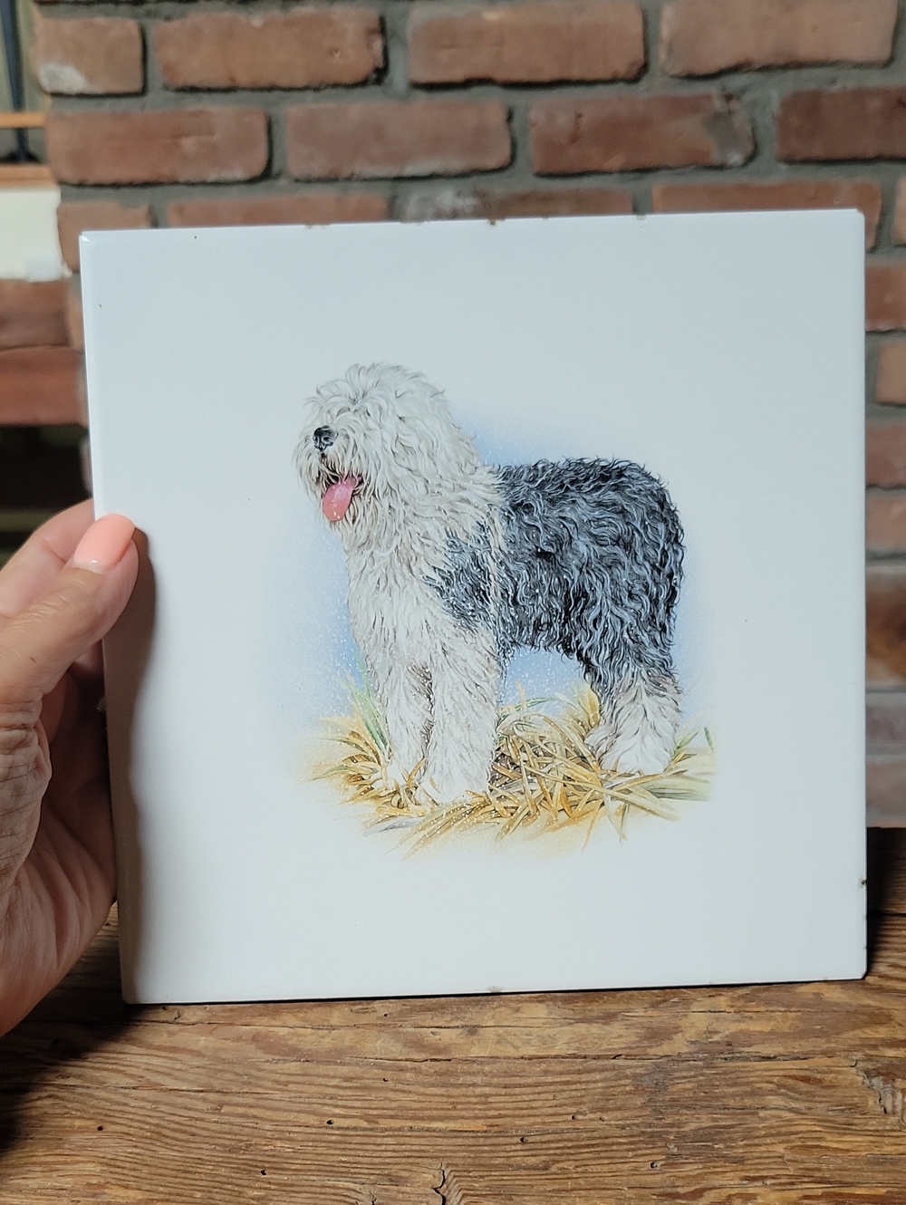 Old English Sheepdog Ceramic Trivet Hot Plate Art Tile